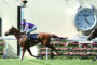Jockey in purple silks riding a galloping horse during a race, clock tower visible in the background.