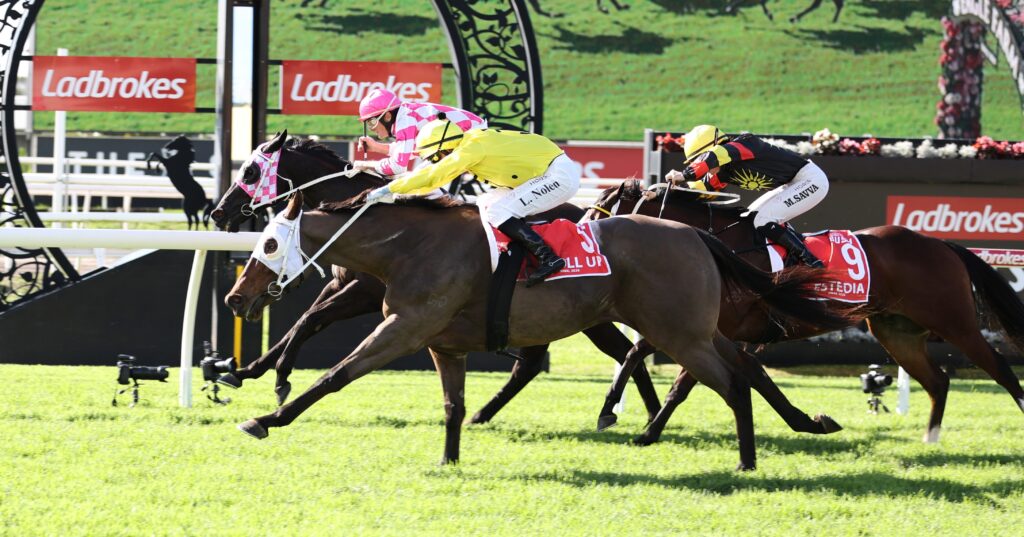 Roll Up | Just Horse Racing Jockeys in bright pink, yellow, and black silks race side by side on a green turf track with Ladbrokes banners in the background