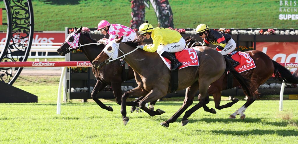 Roll Up 3 | Just Horse Racing Horse race in progress with three jockeys leaning forward, colorful silks (pink, yellow, black) close together on a grassy track, finish near.