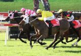 Horse race in progress with three jockeys leaning forward, colorful silks (pink, yellow, black) close together on a grassy track, finish near.