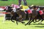Horse race in progress with three jockeys leaning forward, colorful silks (pink, yellow, black) close together on a grassy track, finish near.
