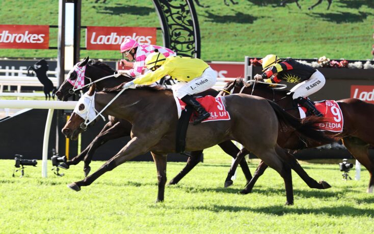 Jockeys in bright pink, yellow, and black silks race side by side on a green turf track with Ladbrokes banners in the background