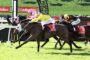 Jockeys in bright pink, yellow, and black silks race side by side on a green turf track with Ladbrokes banners in the background