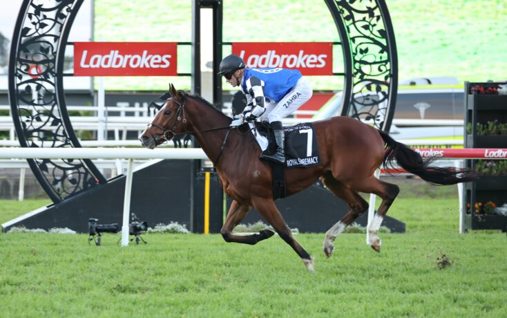 Jockey in blue and white silks riding a brown horse mid-jump over a hurdle at a race track, with Ladbrokes banners in the background.