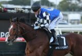 Jockey in blue and white checkered silks riding a galloping brown horse during a race, with 'ROYAL SUPREMACY' on the saddlecloth in view.
