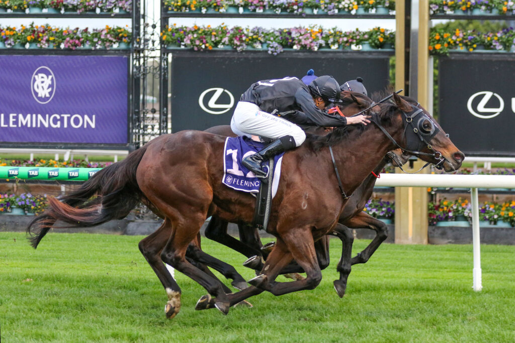 Two jockeys in black silks ride fast brown horses neck-and-neck on a turf racecourse, with colorful flowers and sponsor signs in the background.
