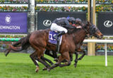 Two jockeys in black silks ride fast brown horses neck-and-neck on a turf racecourse, with colorful flowers and sponsor signs in the background.