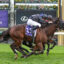 Two jockeys in black silks ride fast brown horses neck-and-neck on a turf racecourse, with colorful flowers and sponsor signs in the background.