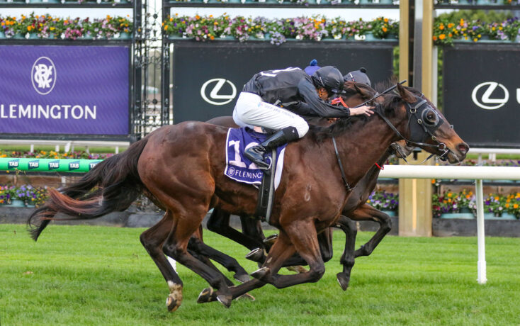 Two jockeys in black silks ride fast brown horses neck-and-neck on a turf racecourse, with colorful flowers and sponsor signs in the background.