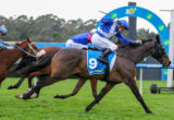 Jockeys in blue and white silks ride fast on racehorses across a grassy track, with a blue finish arch visible in the background.