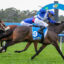 Jockeys in blue and white silks ride fast on racehorses across a grassy track, with a blue finish arch visible in the background.