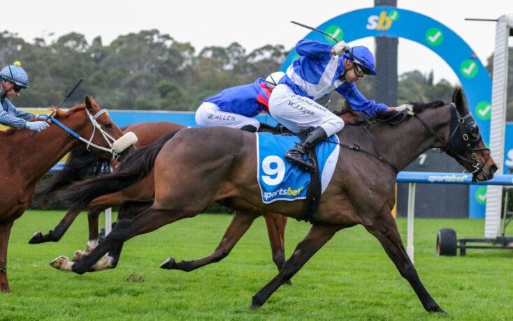 Jockeys in blue and white silks ride fast on racehorses across a grassy track, with a blue finish arch visible in the background.