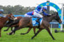 Jockeys in blue and white silks ride fast on racehorses across a grassy track, with a blue finish arch visible in the background.