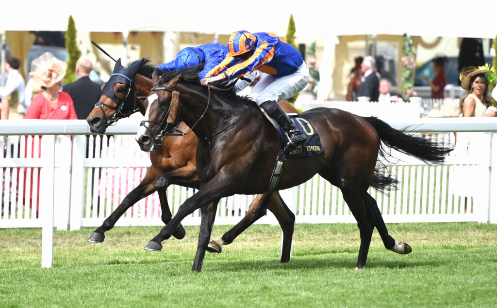 Two horses sprinting side by side on a grassy racetrack, jockeys leaning forward in bright blue and orange silks amid a cheering crowd behind a white fence.