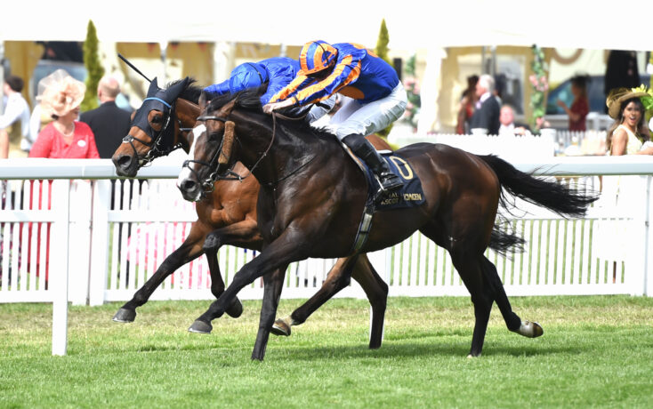 Two horses sprinting side by side on a grassy racetrack, jockeys leaning forward in bright blue and orange silks amid a cheering crowd behind a white fence.
