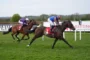 Two jockeys race side by side on horses across a grassy track, one in purple silks and the other in blue and orange, leaning forward in sprinting position.