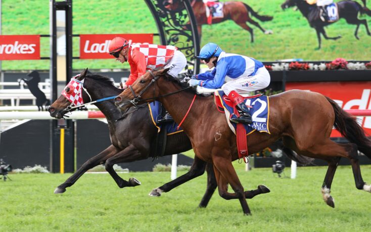 Two jockeys in a sprint finish on horses at a race track, red-and-white checkered silks vs blue-and-white, near the finish line with green grass."