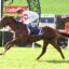 Jockey in red-and-white silks rides a galloping brown horse on a racecourse, green grass in the foreground and red sponsor boards in the background