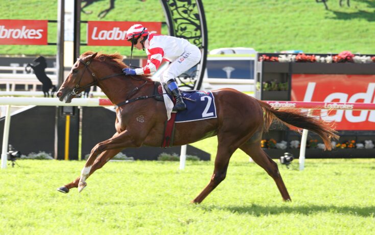 Jockey in red-and-white silks rides a galloping brown horse on a racecourse, green grass in the foreground and red sponsor boards in the background