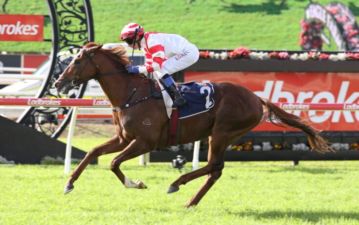 Horse and jockey mid-jump over a hurdle on a green racecourse; rider in red-and-white silks, sponsor banners in background.