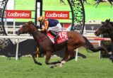 Horse race: jockey in blue/yellow silks rides brown horse with red saddlecloth '16 SPICY MARTINI' across a finish line, Ladbrokes signs in background.