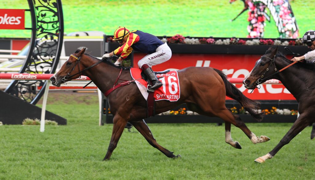 Jockey in red and yellow sleeves riding a brown horse with number 16 on a green turf track during a race finish, with another horse close behind.