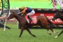 Jockey in red and yellow sleeves riding a brown horse with number 16 on a green turf track during a race finish, with another horse close behind.