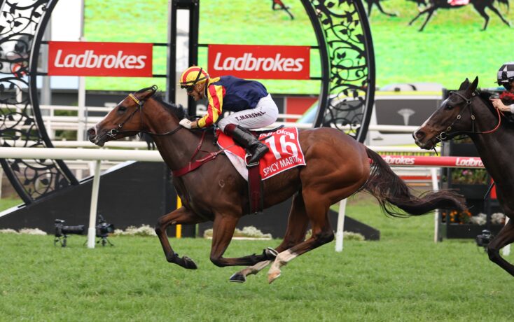 Horse race: jockey in blue/yellow silks rides brown horse with red saddlecloth '16 SPICY MARTINI' across a finish line, Ladbrokes signs in background.
