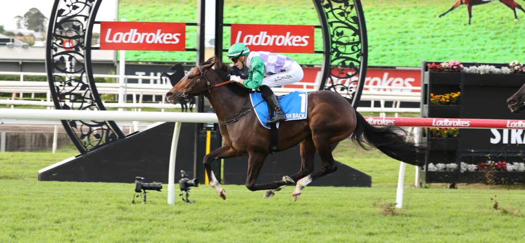 Jockey in green helmet and purple-checkered silks rides a brown horse clearing a hurdle at a racecourse.