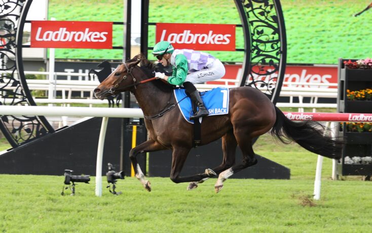 Jockey in green helmet and purple-checkered silks rides a brown horse clearing a hurdle at a racecourse.