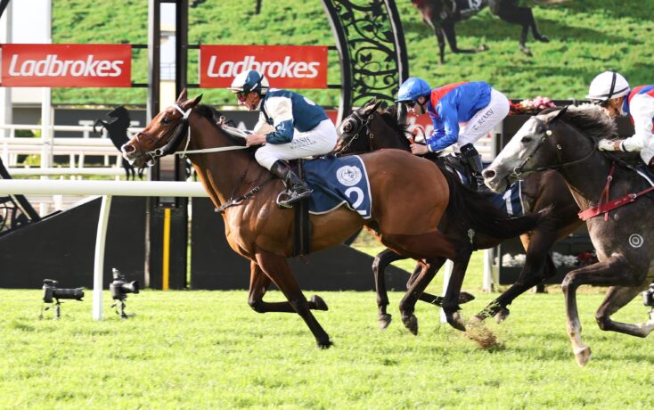 Jockeys on racing horses sprint toward the finish line with Ladbrokes banners in the background on a green turf track.