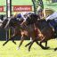A group of jockeys riding racing horses in a tight sprint, leaning forward as they race toward the finish with Ladbrokes banners in the background.