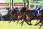 A group of jockeys riding racing horses in a tight sprint, leaning forward as they race toward the finish with Ladbrokes banners in the background.
