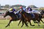 Jockeys in colorful silks racing on thoroughbred horses along a turf track under bright skies, close-packed sprint.