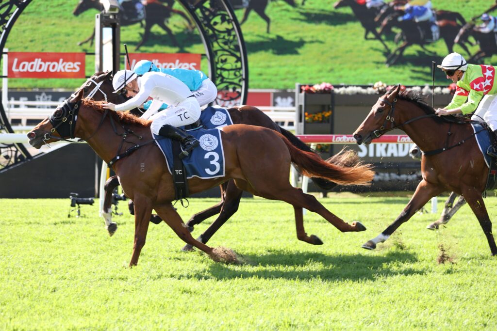Racing horses and jockeys sprint on a sunlit turf track, with a Ladbrokes sign in the background.