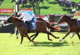 Racing horses and jockeys sprint on a sunlit turf track, with a Ladbrokes sign in the background.