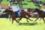 Racing horses and jockeys sprint on a sunlit turf track, with a Ladbrokes sign in the background.