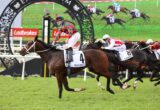 Horse race on a grassy track; jockey in red-and-green stripes rides #4 Tron Bolt ahead of rivals under a decorative start arch with Ladbrokes signs in the background.