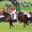 Horse race on a grassy track; jockey in red-and-green stripes rides #4 Tron Bolt ahead of rivals under a decorative start arch with Ladbrokes signs in the background.