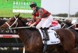 Two jockeys in red-and-green silks ride brown horses at full speed on a racetrack, with a green advertising board in the background, adding a sense of competition.