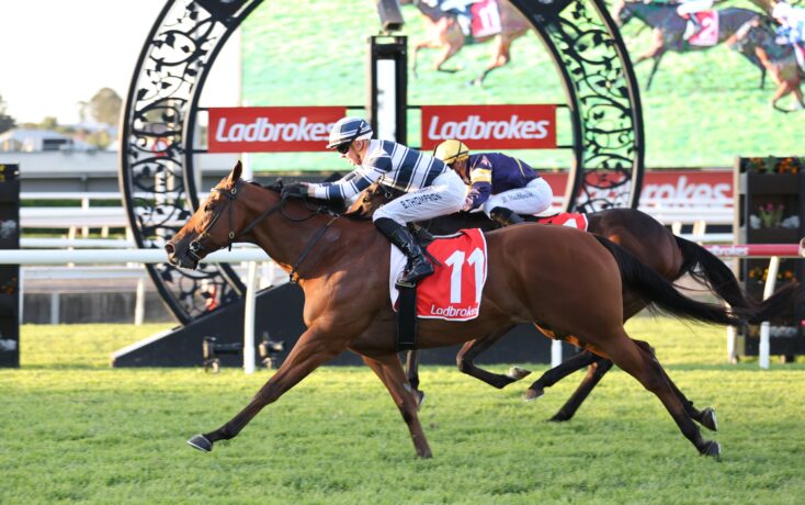 Two jockeys race a brown horse to the finish on a green turf, with Ladbrokes banners in the background.