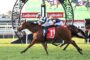 Two jockeys race a brown horse to the finish on a green turf, with Ladbrokes banners in the background.
