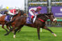 Jockeys aboard galloping horses on a green turf track with a purple Flemington banner in the background.