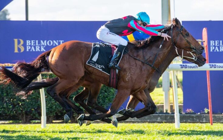 Jockey in blue helmet riding a brown racehorse sprinting on a track with Belmont Park sign in the background.