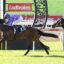 Two jockeys race side by side on galloping horses with Ladbrokes banners in the arena.