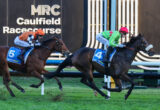 Two jockeys ride galloping horses in a tight race at Caulfield Racecourse, with silks in orange and green and bib numbers 5 and 4 visible on the horses' saddles.
