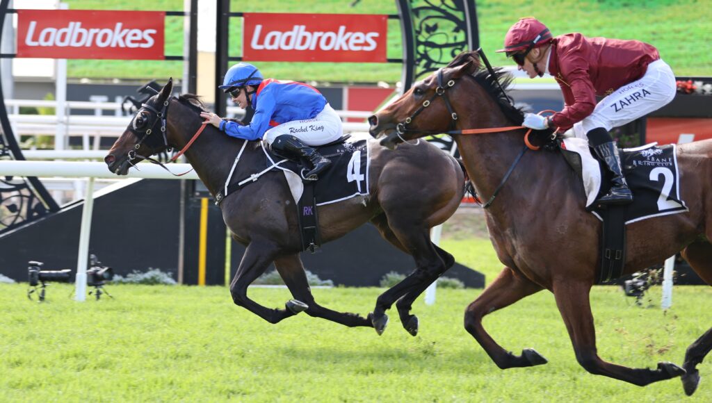 Two jockeys ride fast on racing horses during a jump race, wearing blue and maroon silks, with Ladbrokes banners in the background
