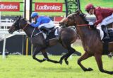 Two jockeys ride fast on racing horses during a jump race, wearing blue and maroon silks, with Ladbrokes banners in the background