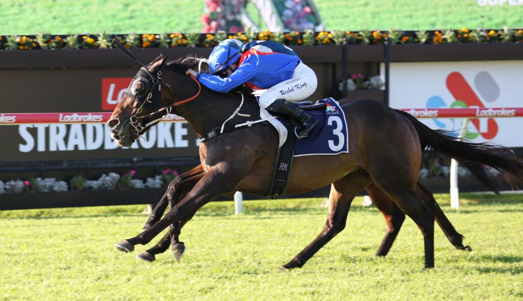 Two jockeys race a dark horse on a green turf track, close to the finish line, rider in blue silks on horse #3.”