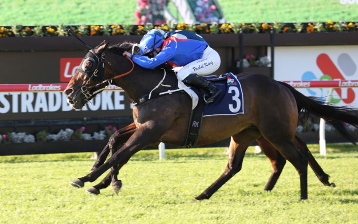 Two jockeys race a dark horse on a green turf track, close to the finish line, rider in blue silks on horse #3.”